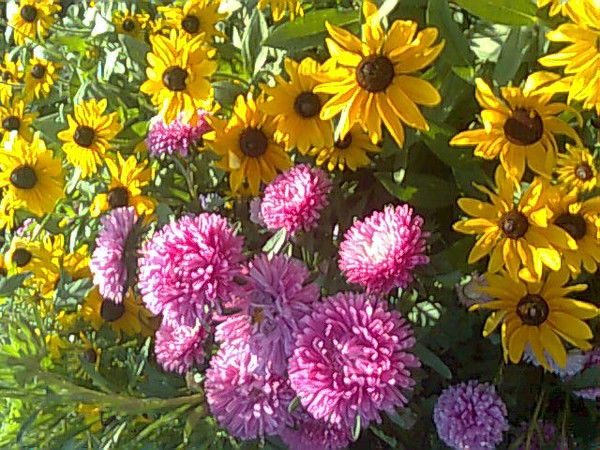 Гульнара Такиуллина