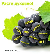 Олег Березовский