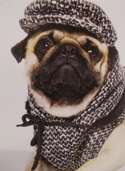 Сергей Котельников