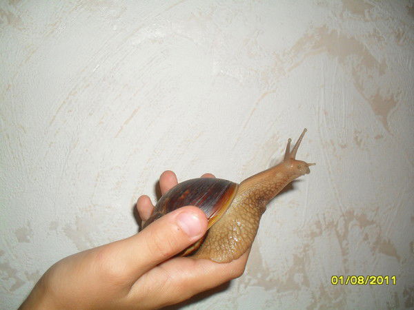 Татьяна Бакаева