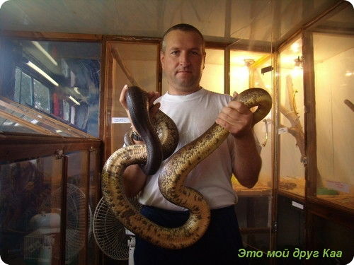 Александр Кудрявцев