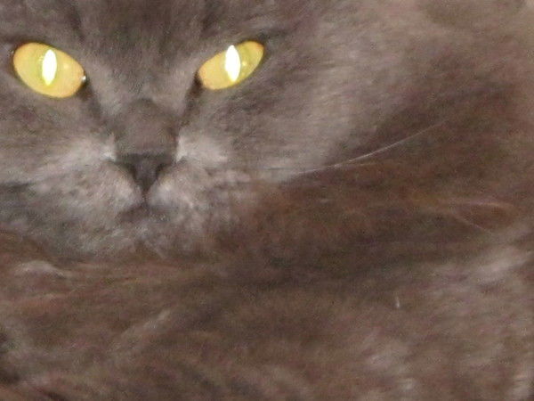 Марина Мурзина