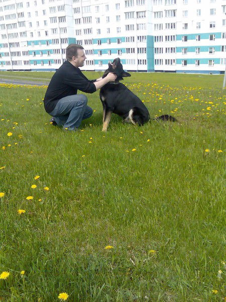 Сергей Ефременко