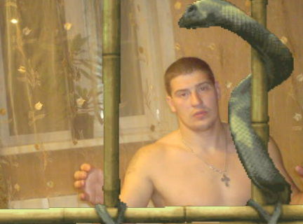 Дмитрий Майзель