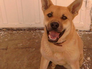 Юрий Зиновьев