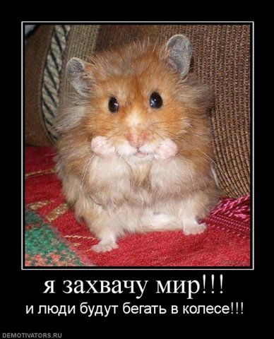 Денис Лазуткин