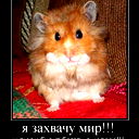 Денис Лазуткин