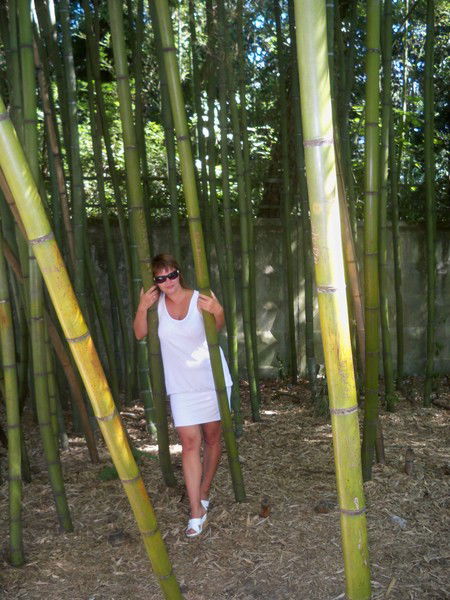 Елена Соколова