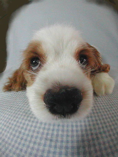 Жанна Казаринова