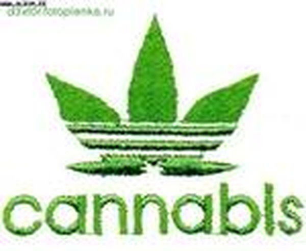 Антон Семенихин