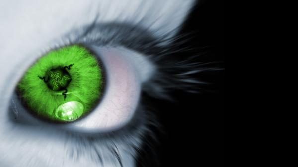 Людмила Басова