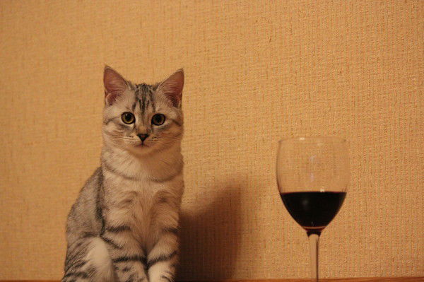 Ирина Петина