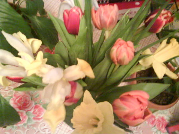 Альфия Альмуханова