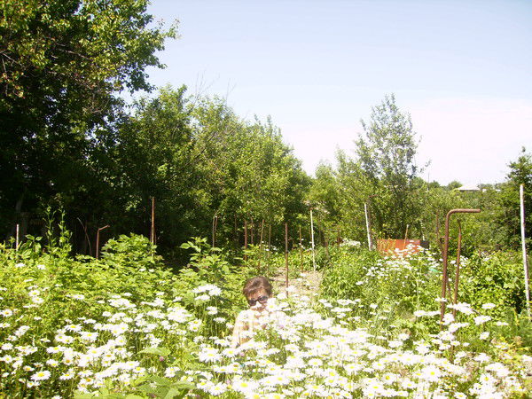 Дильбара Таланова