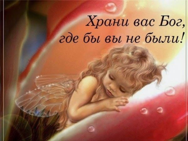 Светлана ------------