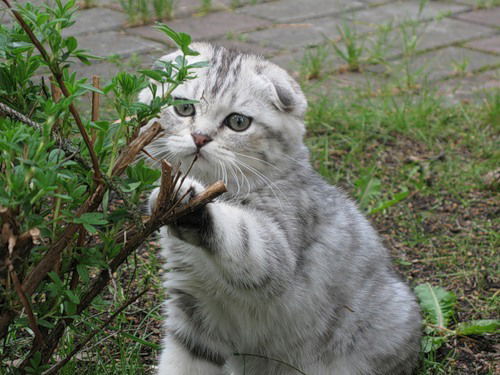 Наталья Хархалуп