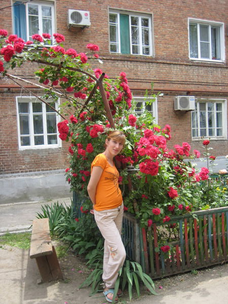 Елена Николаева