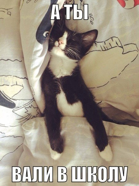 Лиза Лотыпова