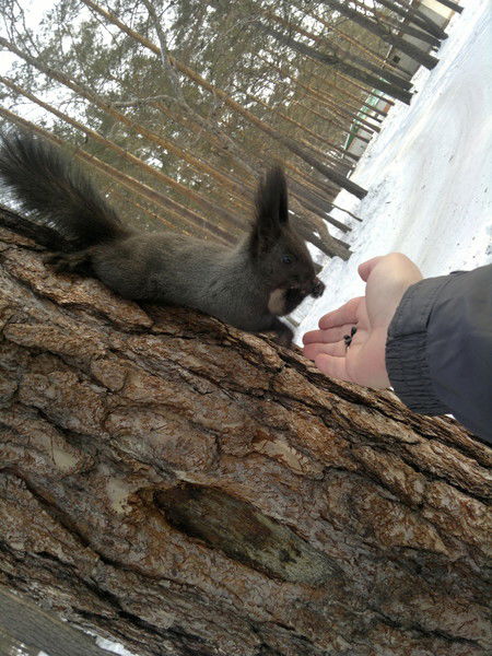 Андрей Евсеев