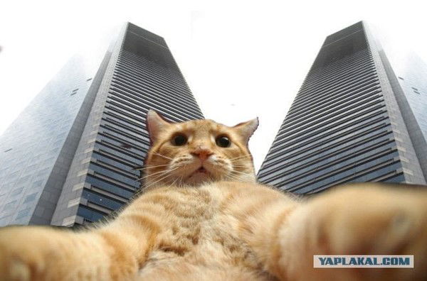 Василий Иванов