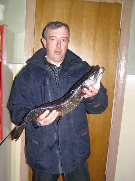 Сергей Новозванский