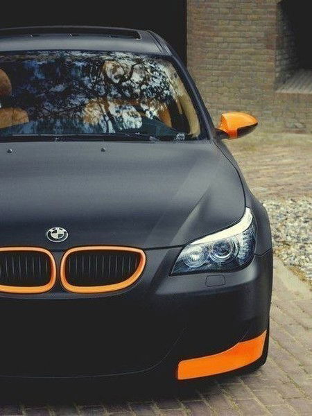 Виктория Яковенко