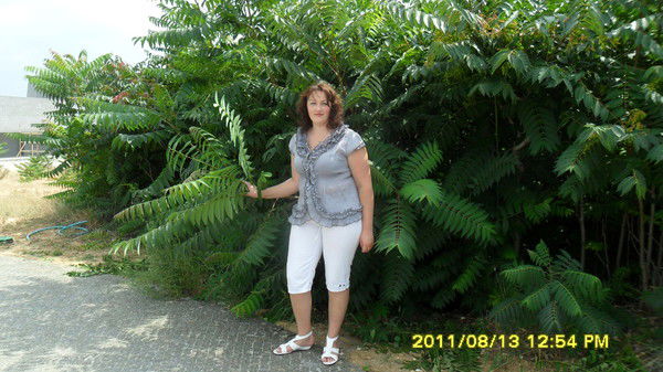 Надежда Денисова