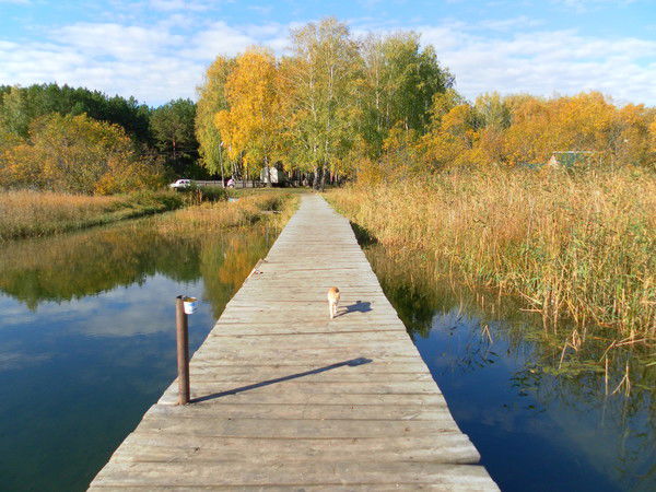 Татьяна Дударева