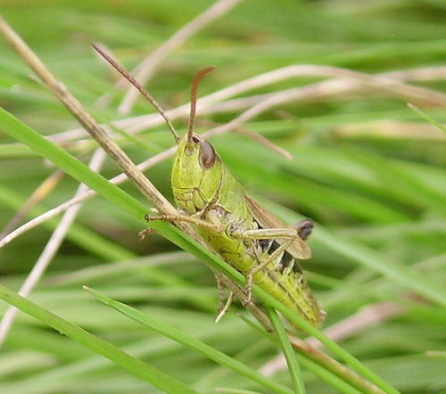 Татьяна Фогилева