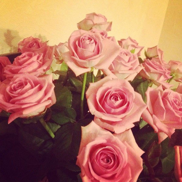 Ольга Костенко