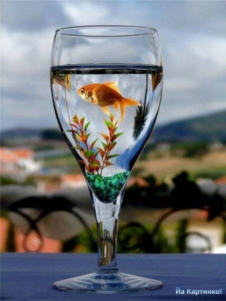 Ольга Рыбальченко