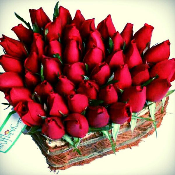 Manzura Egemberdiyewa