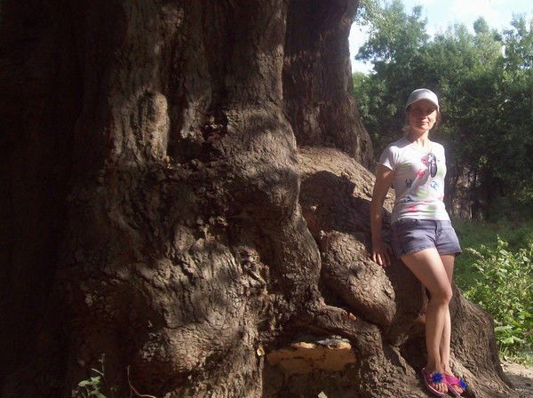 Елена Андреева