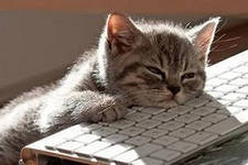 Легенда Легенда