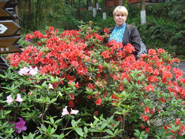 Ольга Климова