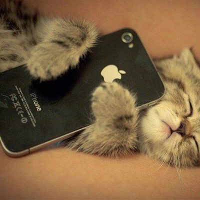 Дима Леднев