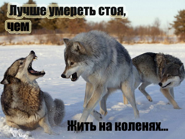 Бекболат Кульмаганбетов