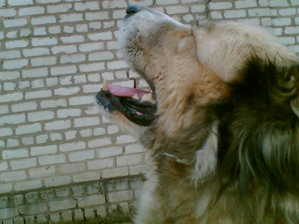 Евгений Захоров