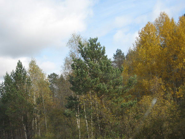 Александр Феоктистов