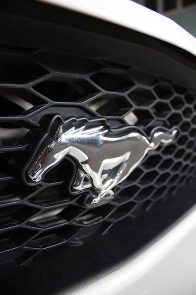 Автосалон Мустанг