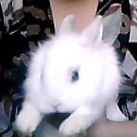 Макпал Шакенова