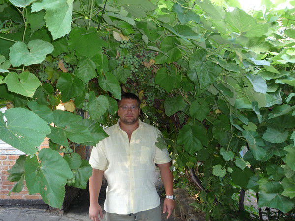 Сергей Головченко