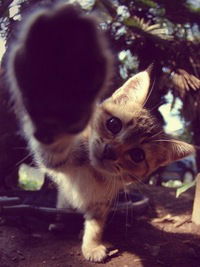 Станислав Штах