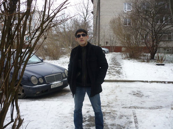 Волк Молодой