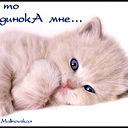 Андрей Шихов