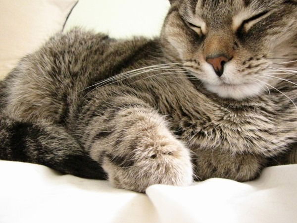 Татьяна Masika