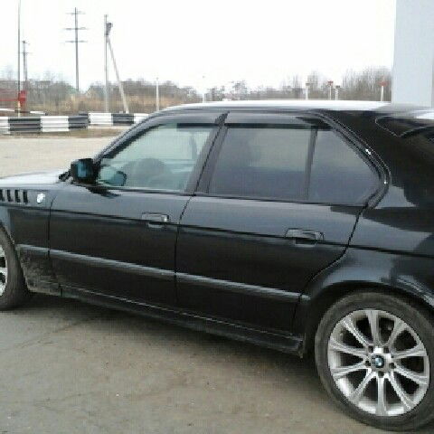 Алёна Егорова