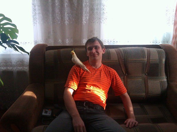 Александр Володин