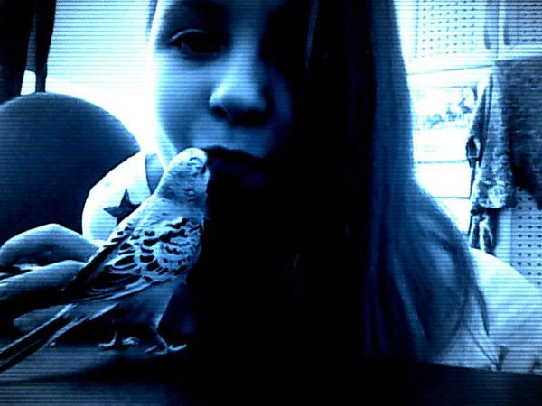 Владислава Колодий