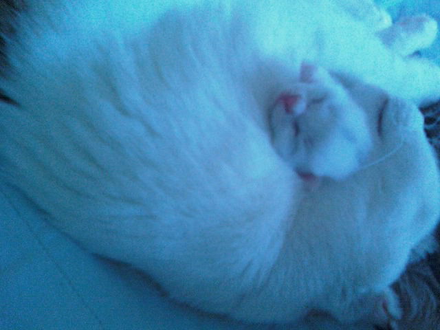 Алексей Наборщиков